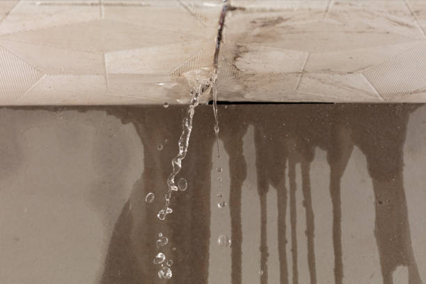 Professional Structural Drying technician working in Julian, WV